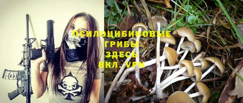 цены наркотик  blacksprut ссылка  Псилоцибиновые грибы Psilocybe  Уфа 